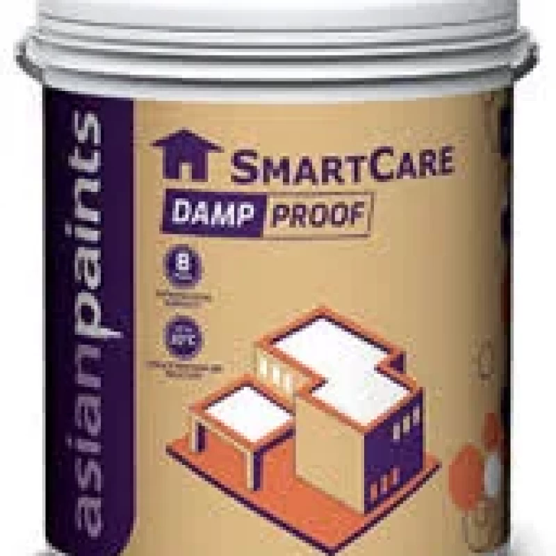 Asian Paints Damp Peoof Water Proofing Caot Primer White