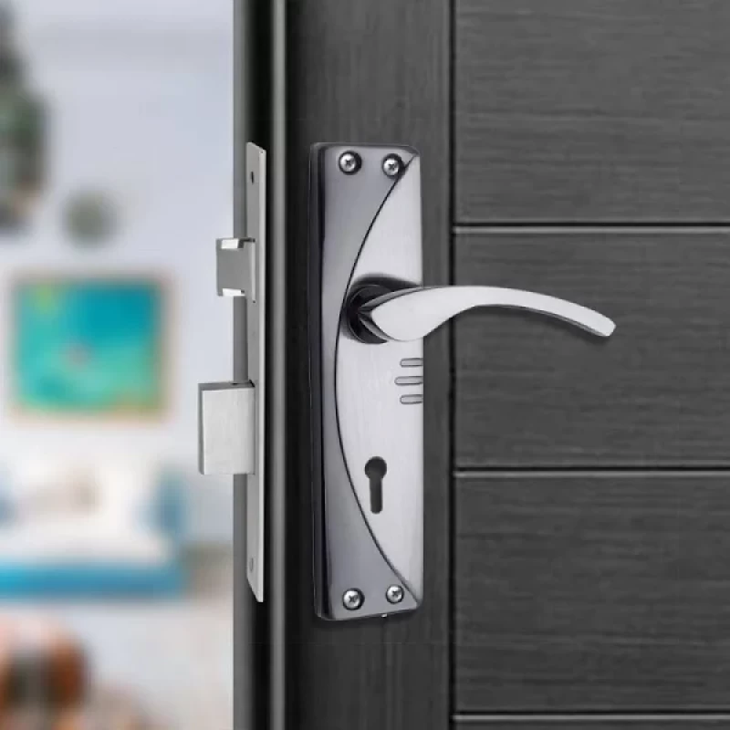 EVOTECH Brass Polished Door levers  (Silver)